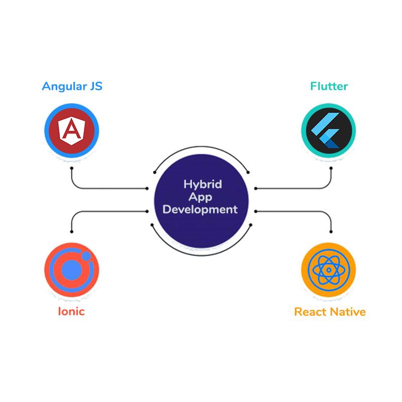 Smartz Minds | Hybrid Mobile App Development Services